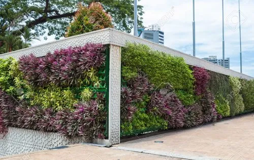 Bio-Wall.webp