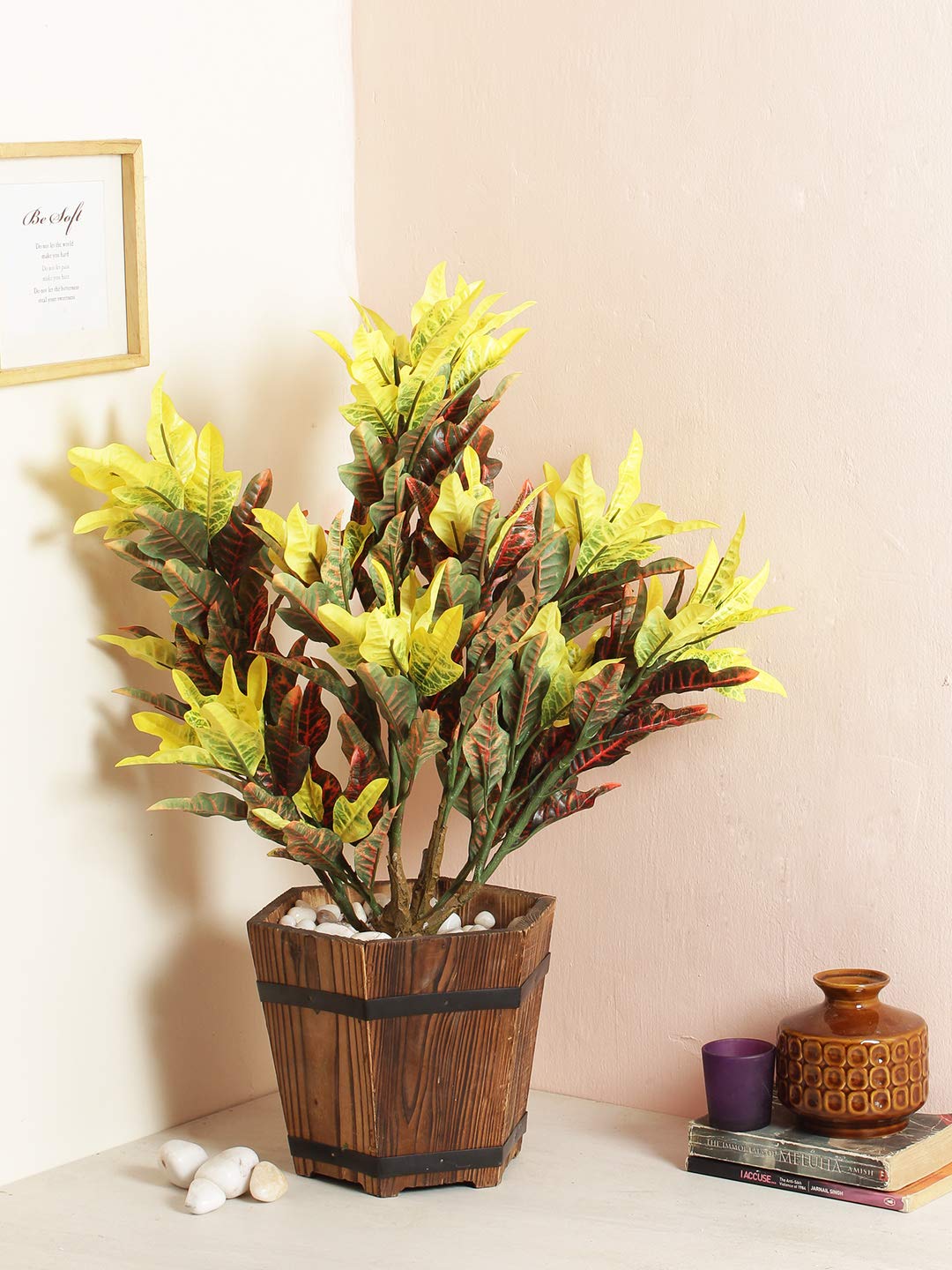 Croton-Plant-2.jpg