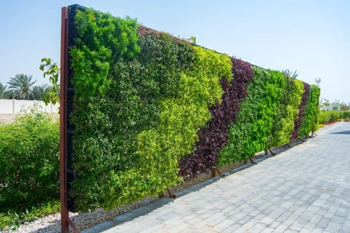 Green-Outdoor-Wall-Garden.webp