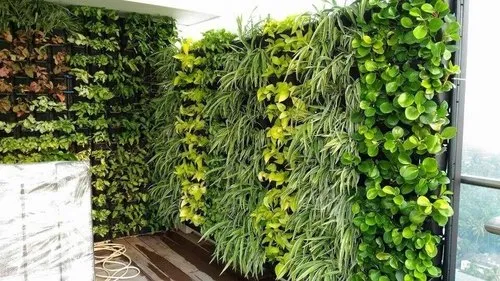 Live-Vertical-Green-Wall.webp