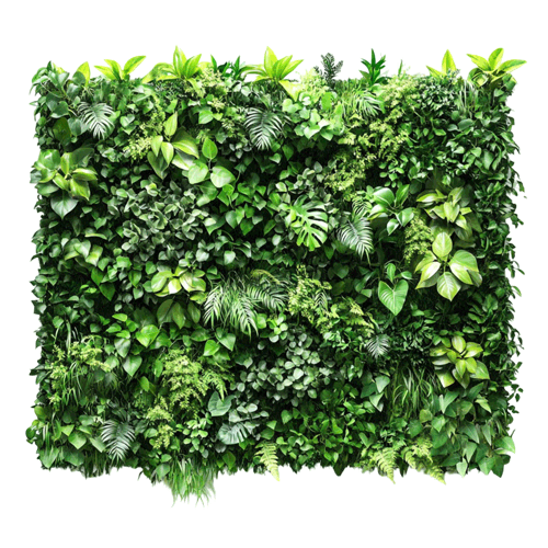 Natural Green Wall Installations