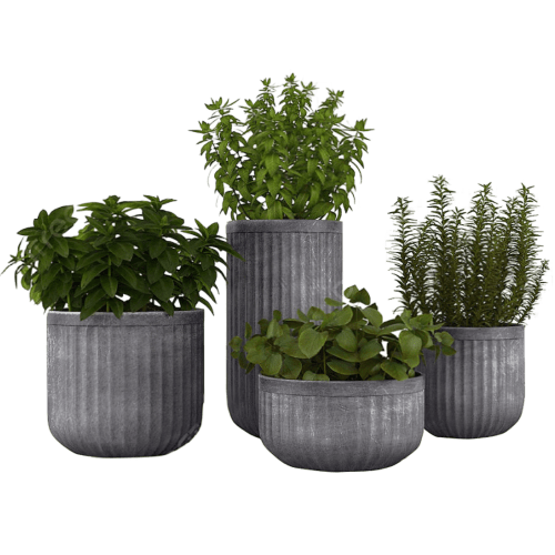 Plants & Designer Planters