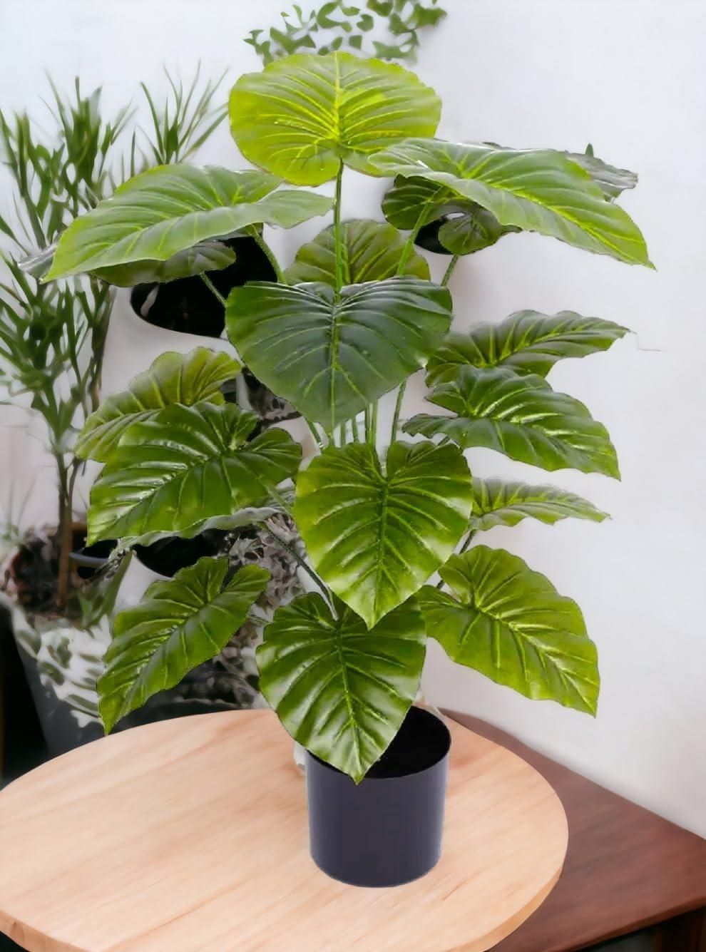 Scindapsus_Aureus_Leaf_Plant-.jpg