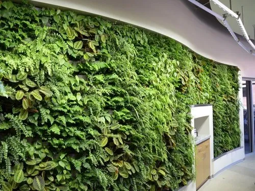 arch-nexus-green-wall-500×500-1.webp
