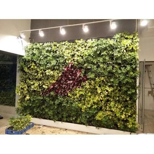 bio-green-walls-500×500-500×500-1.webp