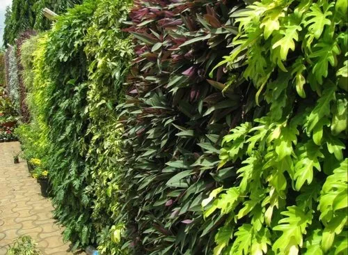 bio-wall-vertical-garden-500×500-3.webp