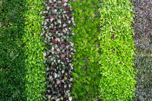 left-right-side-of-big-wall-500×500-1.webp