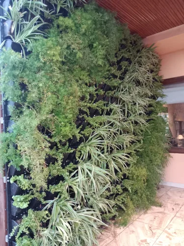 natural-green-wall-500×500-1-1.webp