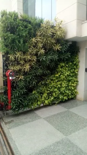 natural-green-wall-500×500-1.webp
