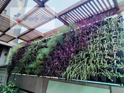 natural-plant-wall-500×500-1.webp