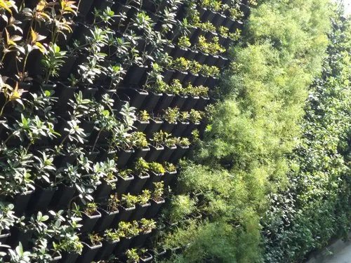 vertical-garden-500×500-1.webp