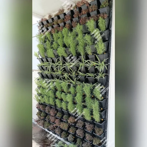 vertical-garden-landscaping-services-500×500-2.webp