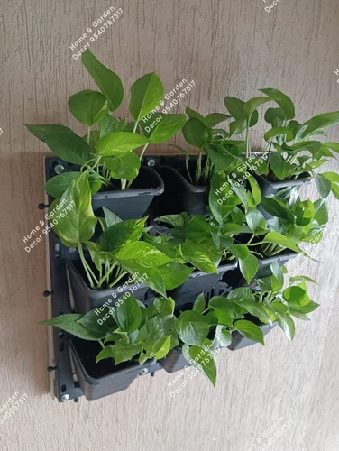 vertical-natural-garden-500×500-1.webp